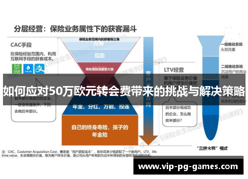 如何应对50万欧元转会费带来的挑战与解决策略