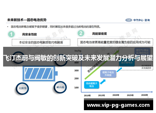 飞汀杰蔚与阀敏的创新突破及未来发展潜力分析与展望